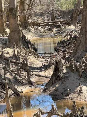 $520,260 | 59 Marshall Tx 75672, Marshall, TX 75672