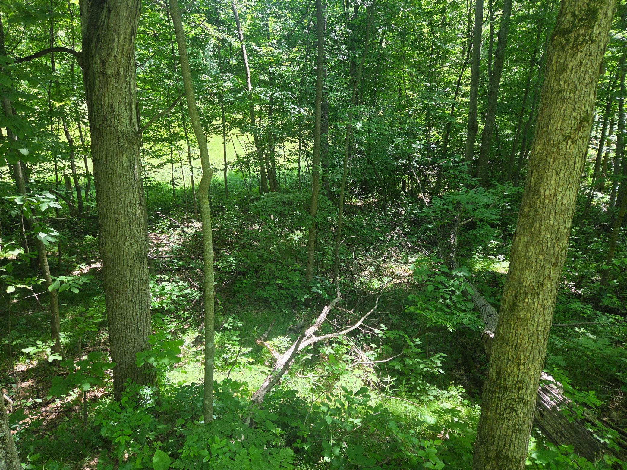 Tbd County Rd G Comstock, WI 54826 - Photo 8 of 9