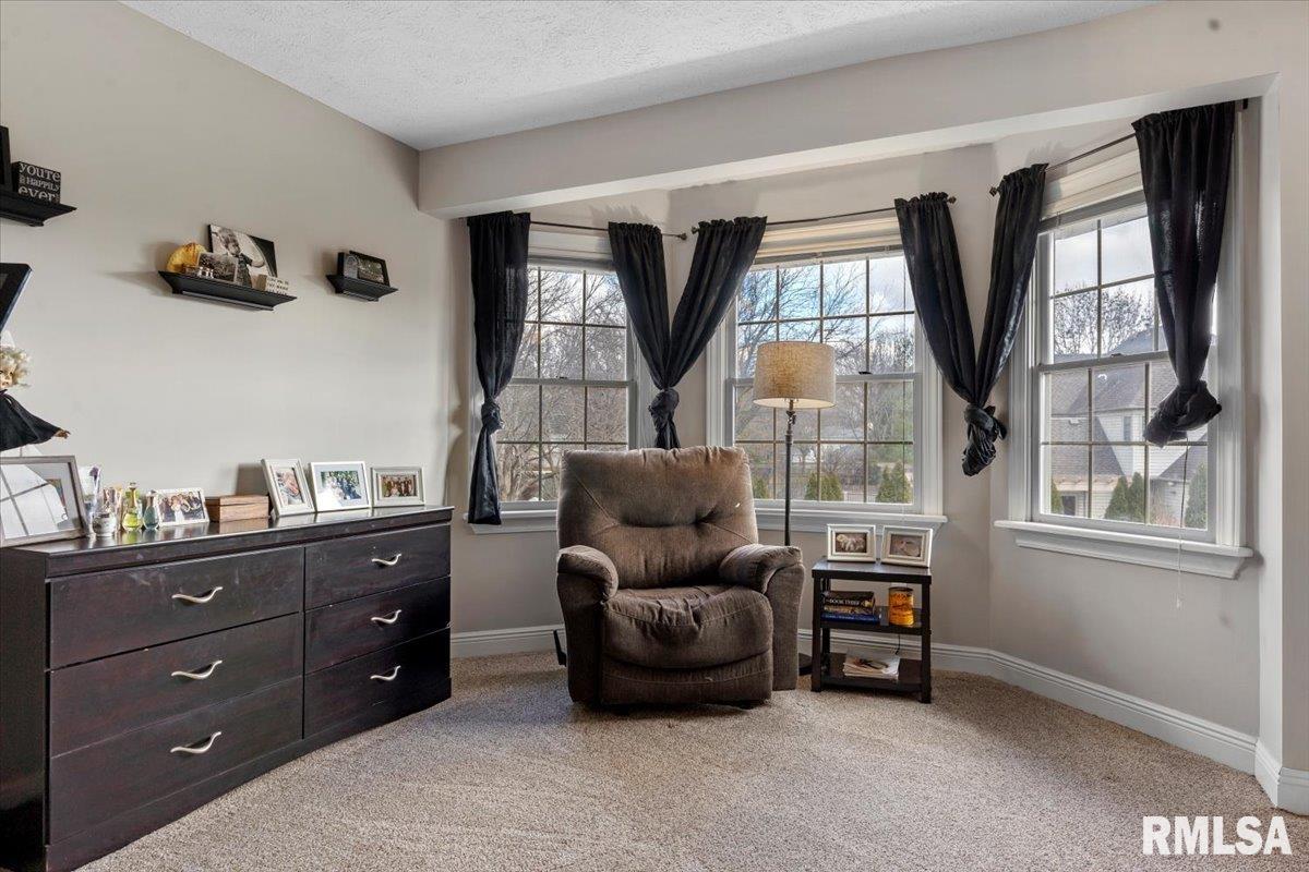 6504 Willow Springs Road Springfield, IL 62712 - Photo 22 of 42