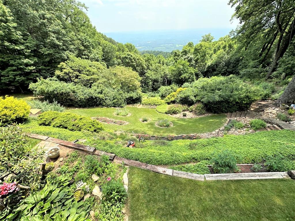 972 Rhododendron Road Hillsville, VA 24343 - Photo 56 of 75 Gallery Image 56