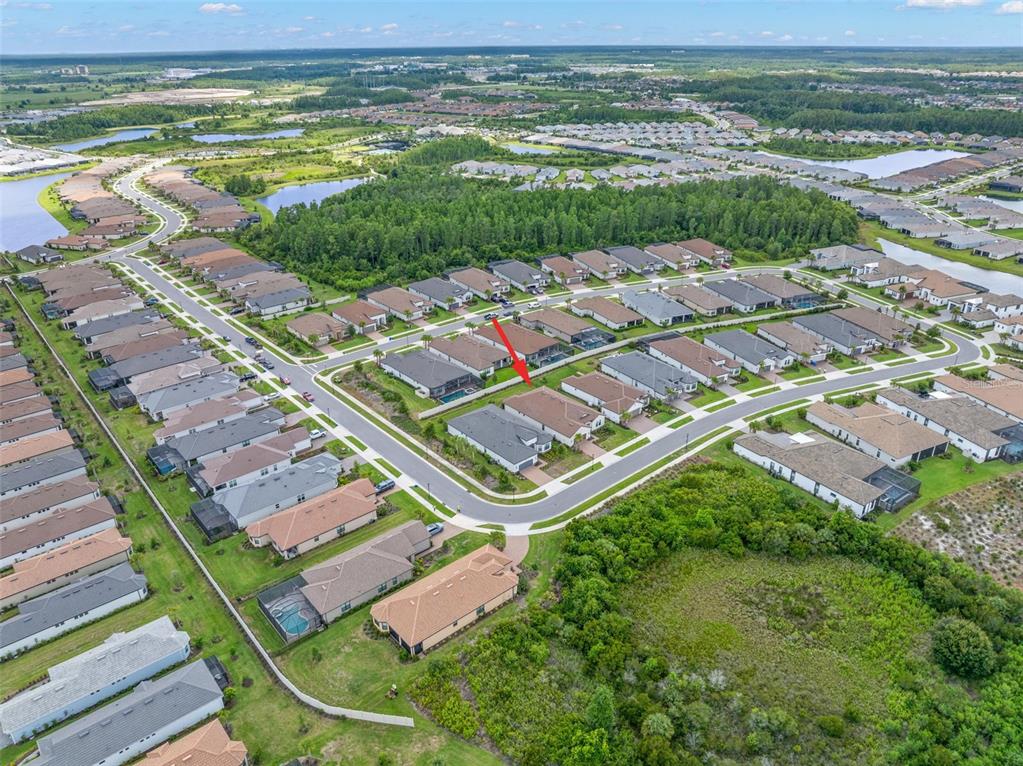 4727 Freccia Loop Wesley Chapel, FL 33543 - Photo 44 of 49