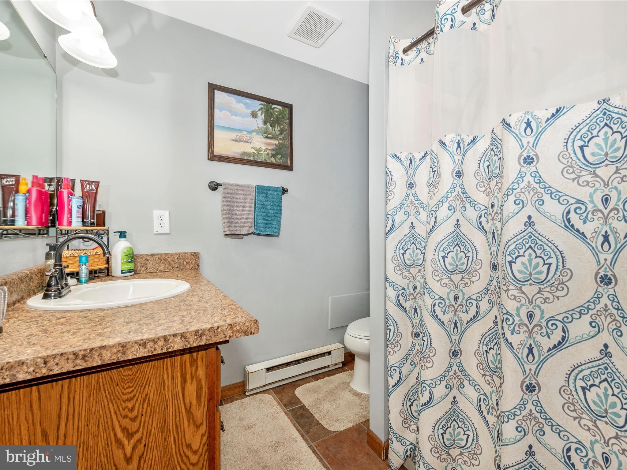 13035 St Paul Road Clear Spring, MD 21722 - Photo 22 of 57 Primary Bathroom