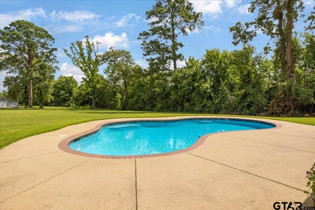 a view of a trees in a yard