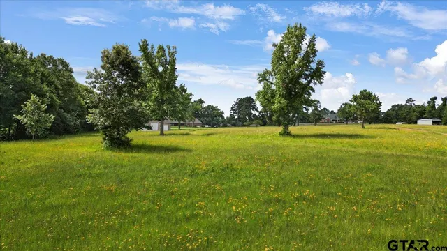 a view of a swimming pool with a yard