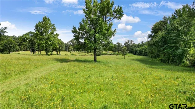 $1,100,000 | 10680 County Road 214, Tyler, TX 75707