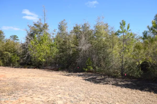 $14,999 | Xxx Spirit Court, Alford, FL 32420