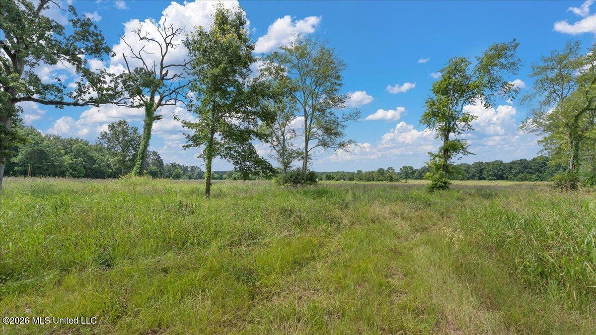0 Us-80 Forest Forest, MS 39074 - Photo 5 of 16 03-IMG_3600