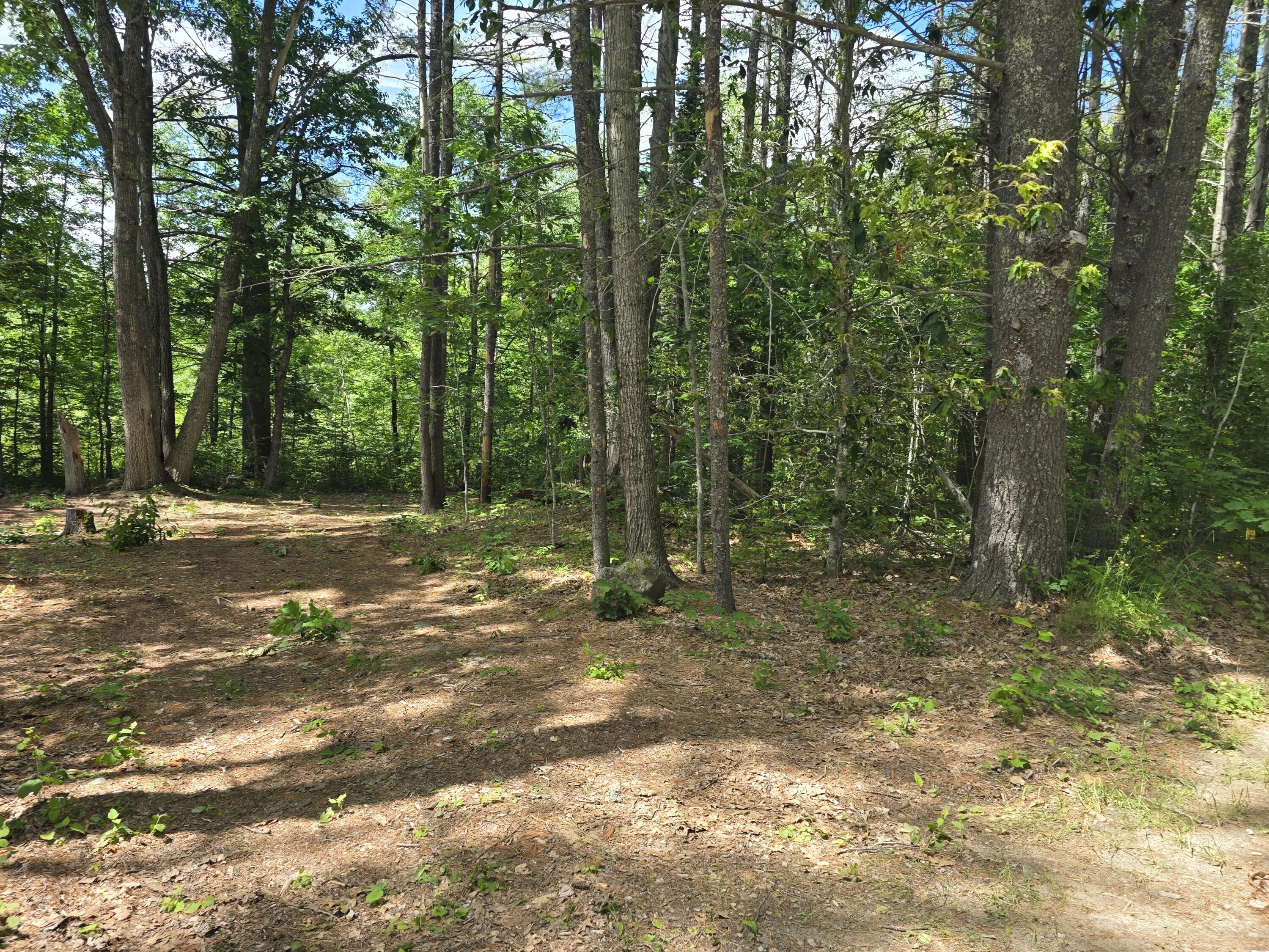 91 Frye Road Somerville, ME 04348 - Photo 9 of 12