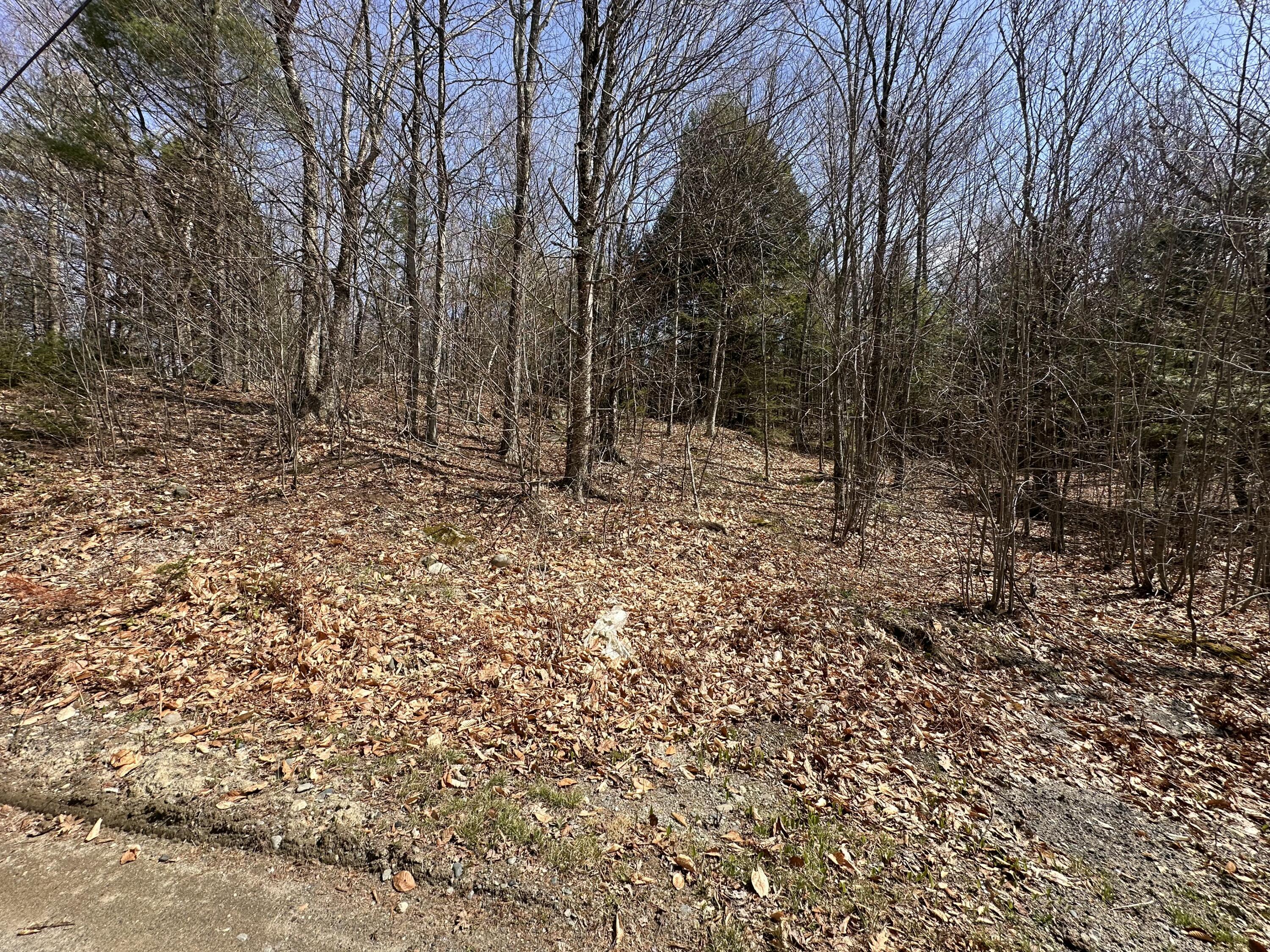 Lot 2 Filaroska Road New Sharon, ME 04955 - Photo 1 of 40 IMG_20260506_084154 (2)