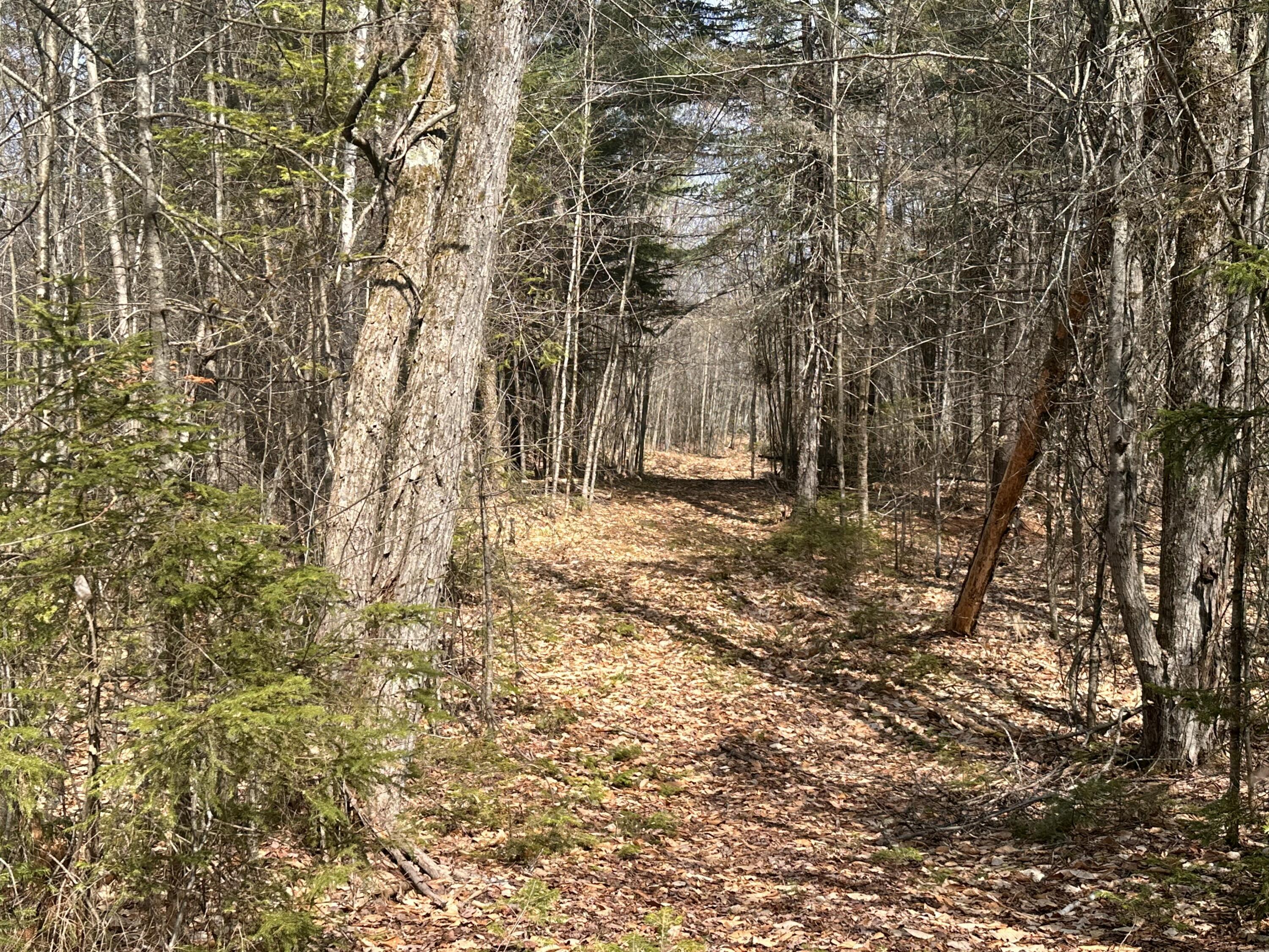 Lot 2 Filaroska Road New Sharon, ME 04955 - Photo 14 of 40 IMG_20260506_084153 (4)