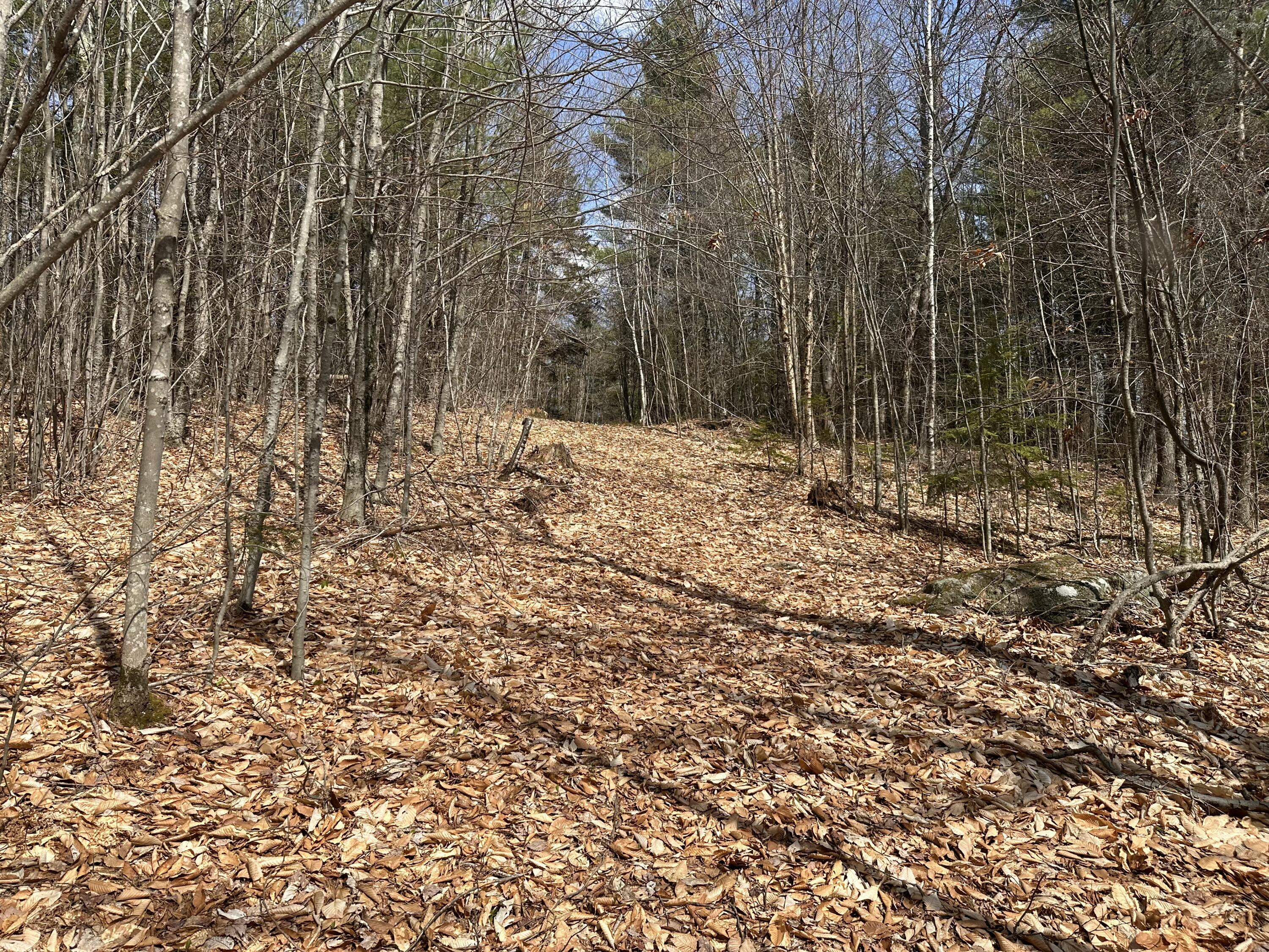 Lot 2 Filaroska Road New Sharon, ME 04955 - Photo 18 of 40 IMG_20260506_084153 (6)