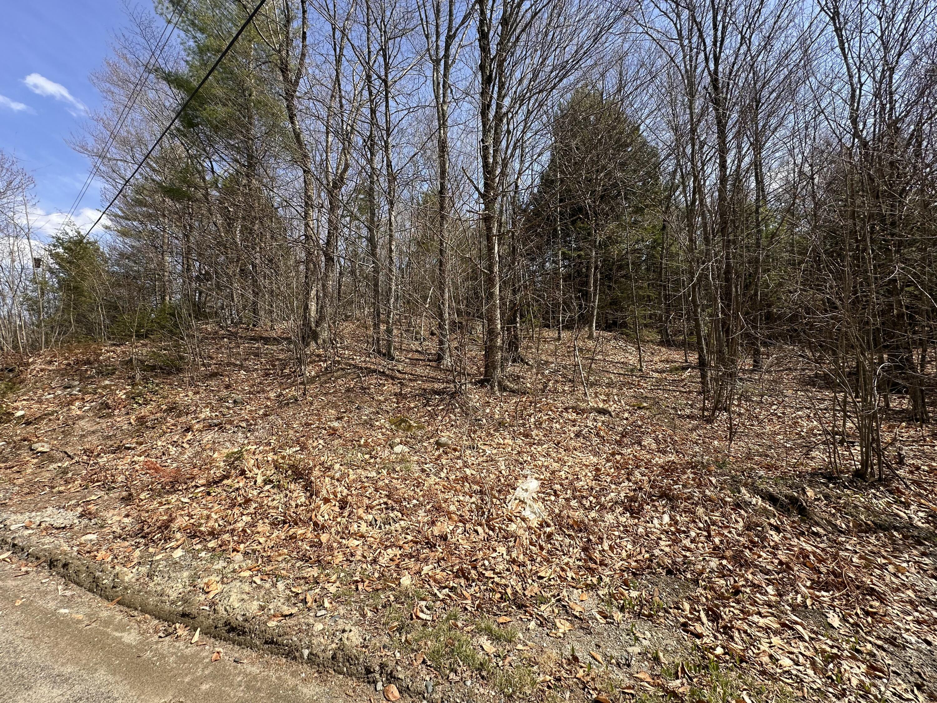 Lot 2 Filaroska Road New Sharon, ME 04955 - Photo 7 of 40 IMG_20260506_084154 (1)