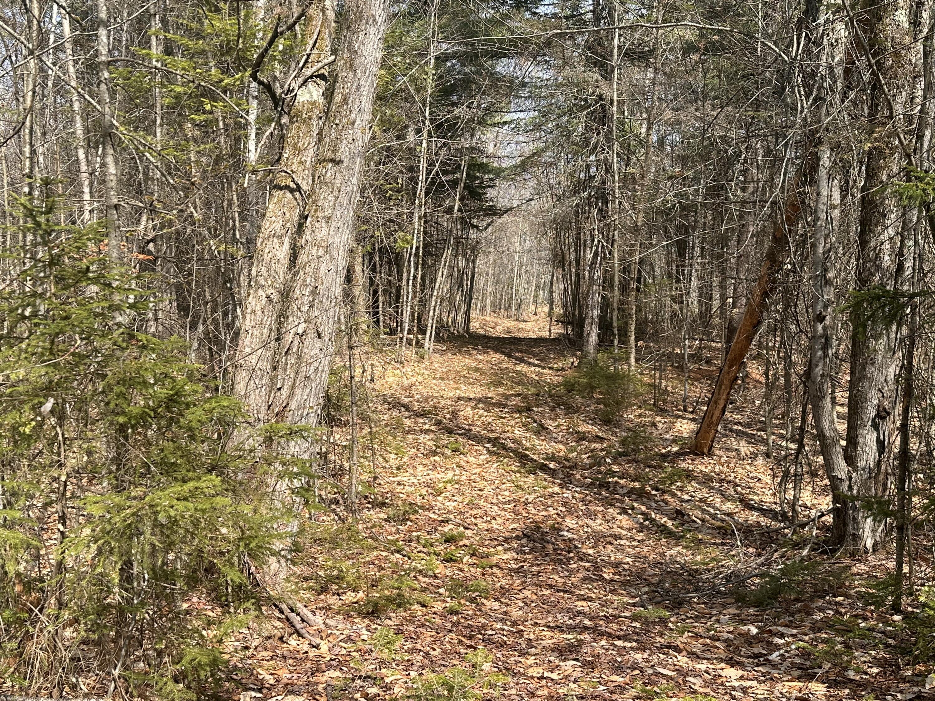 Lot 2 Filaroska Road New Sharon, ME 04955 - Photo 10 of 40 IMG_20260506_084153 (3)