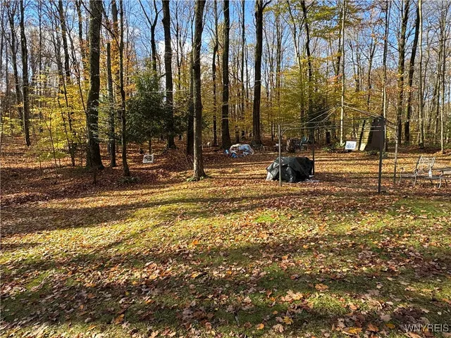 $129,900 | 3890 Weber Road, Orangeville, NY 14569