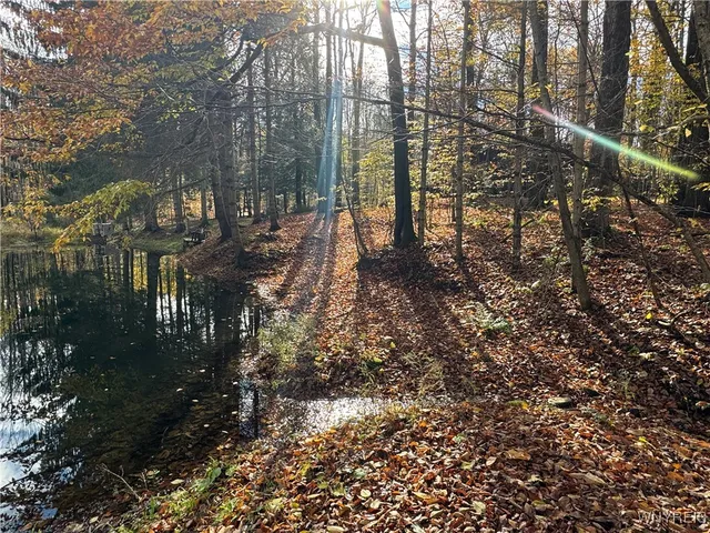 $129,900 | 3890 Weber Road, Orangeville, NY 14569