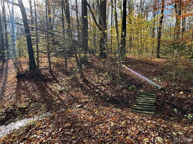 $129,900 | 3890 Weber Road, Orangeville, NY 14569