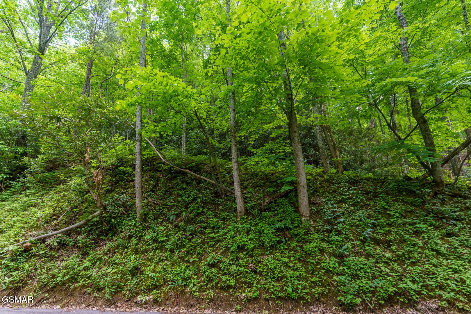 9 Zurich Road Gatlinburg, TN 37738 - Photo 3 of 17 Gallery Image 3
