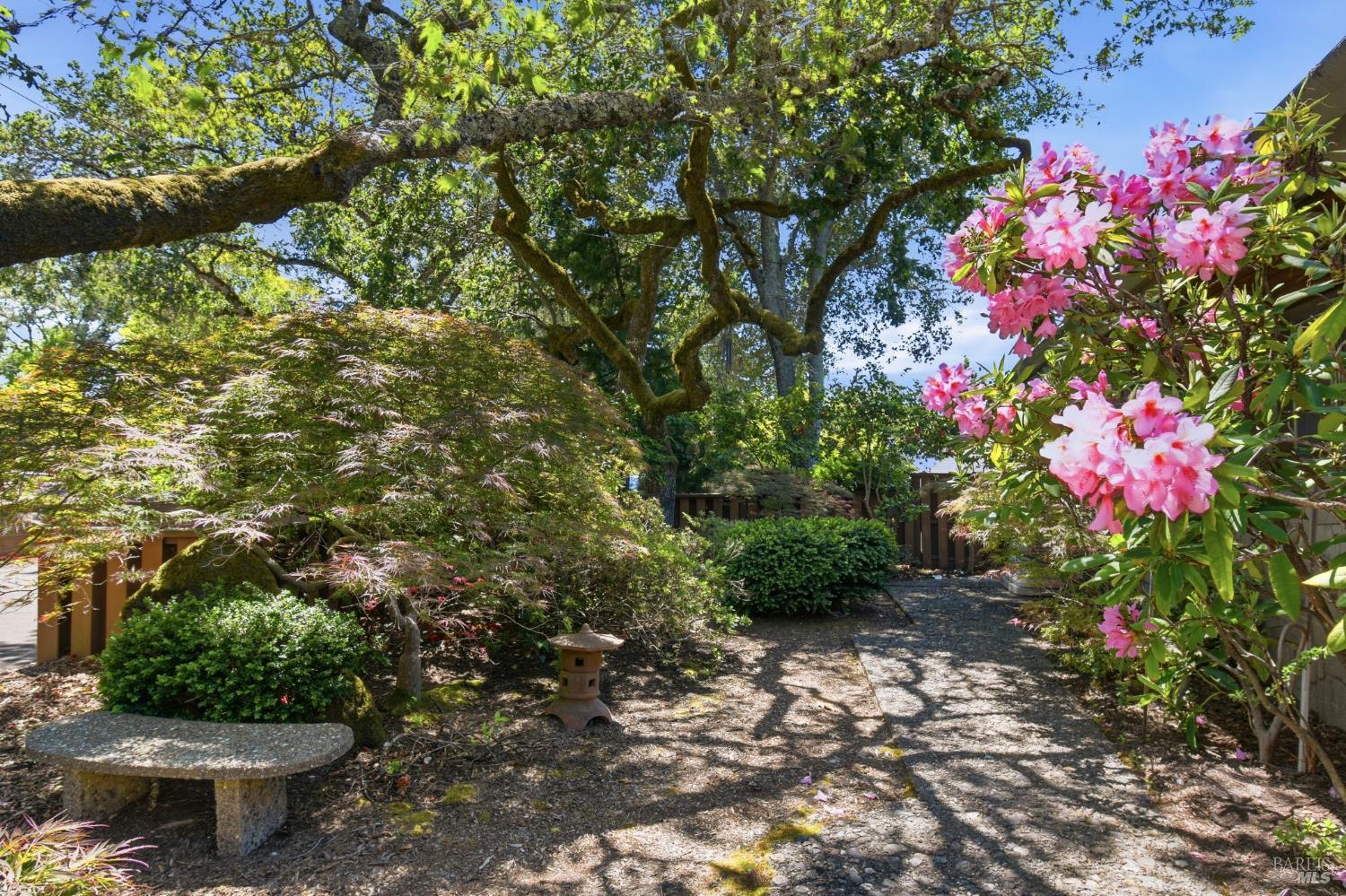 2348 Sycamore Avenue Santa Rosa, CA 95404 - Photo 46 of 53