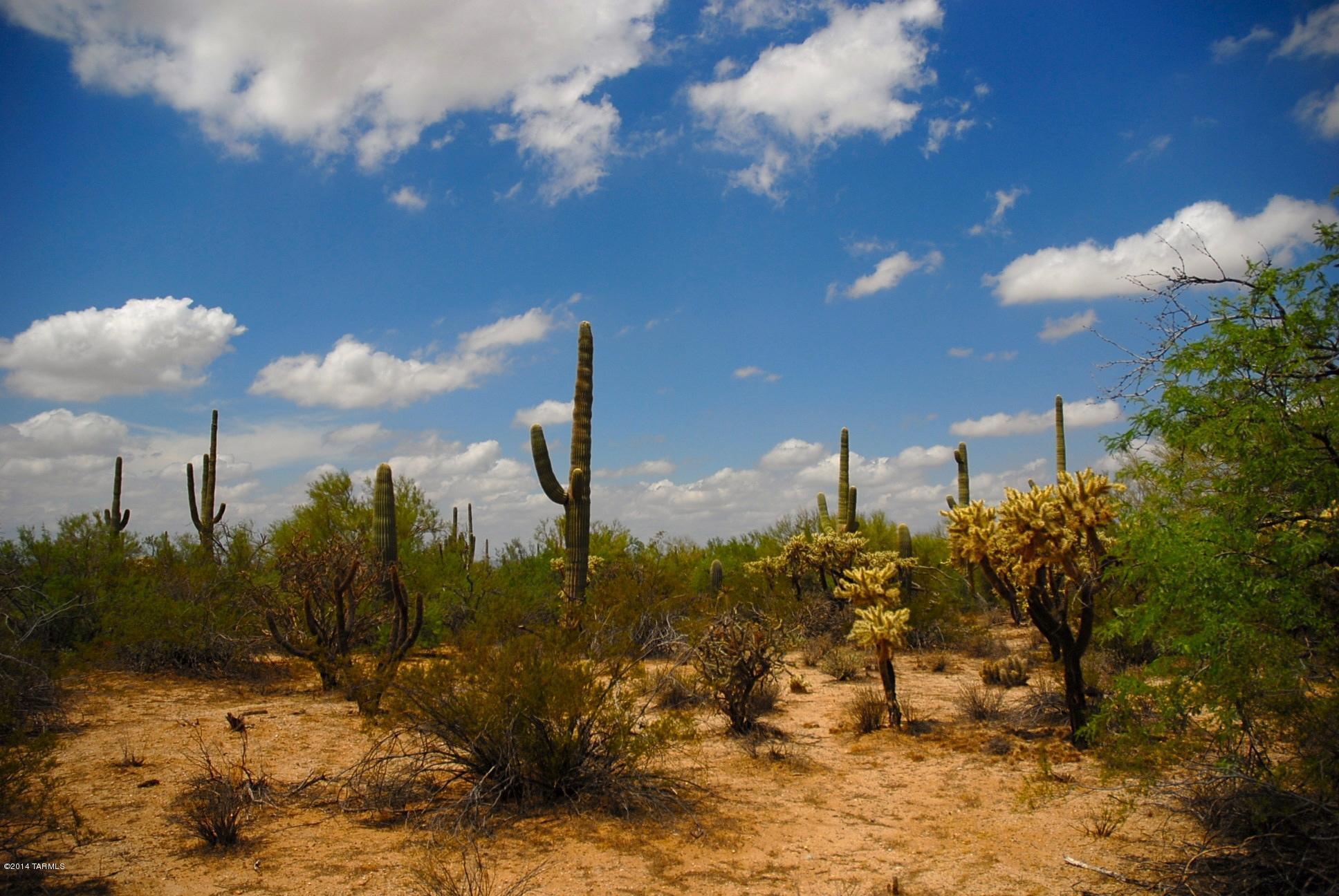 Xxx East Gas Line Road, Unit 5AC Marana, AZ 85658 - Photo 3 of 4