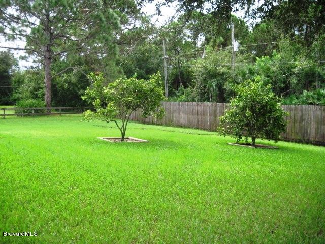 2751 Harlock Road Melbourne, FL 32934 - Photo 11 of 25 Orange Trees