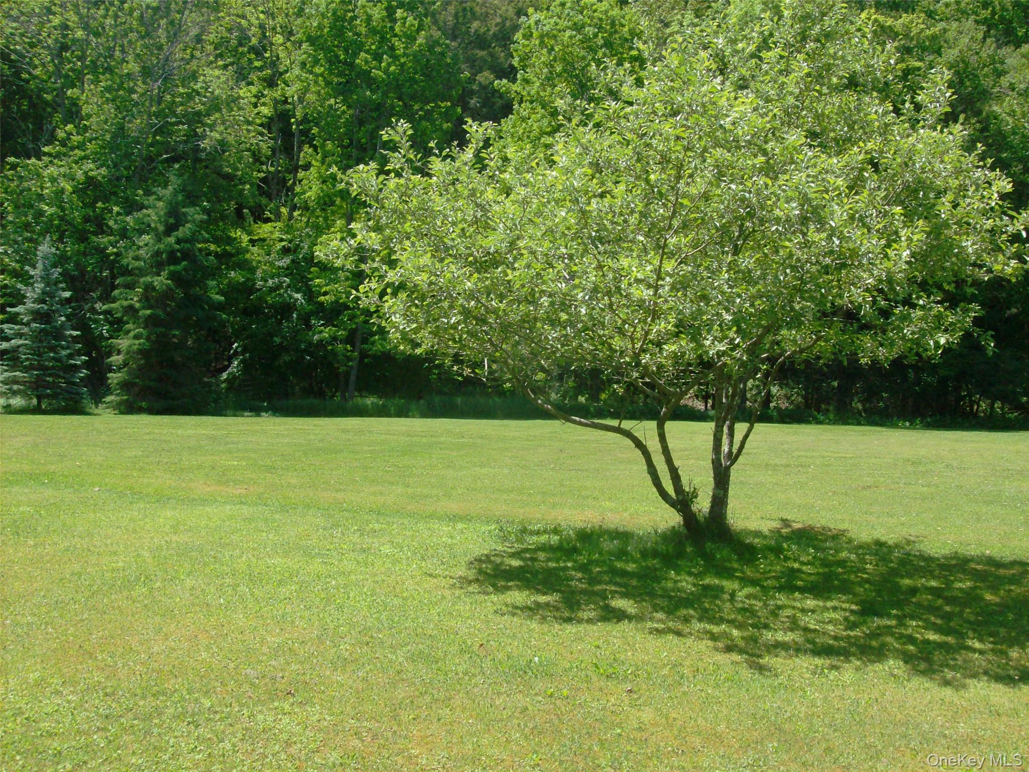 5 Riverside Drive Roscoe, NY 12776 - Photo 24 of 27 Gallery Image 24