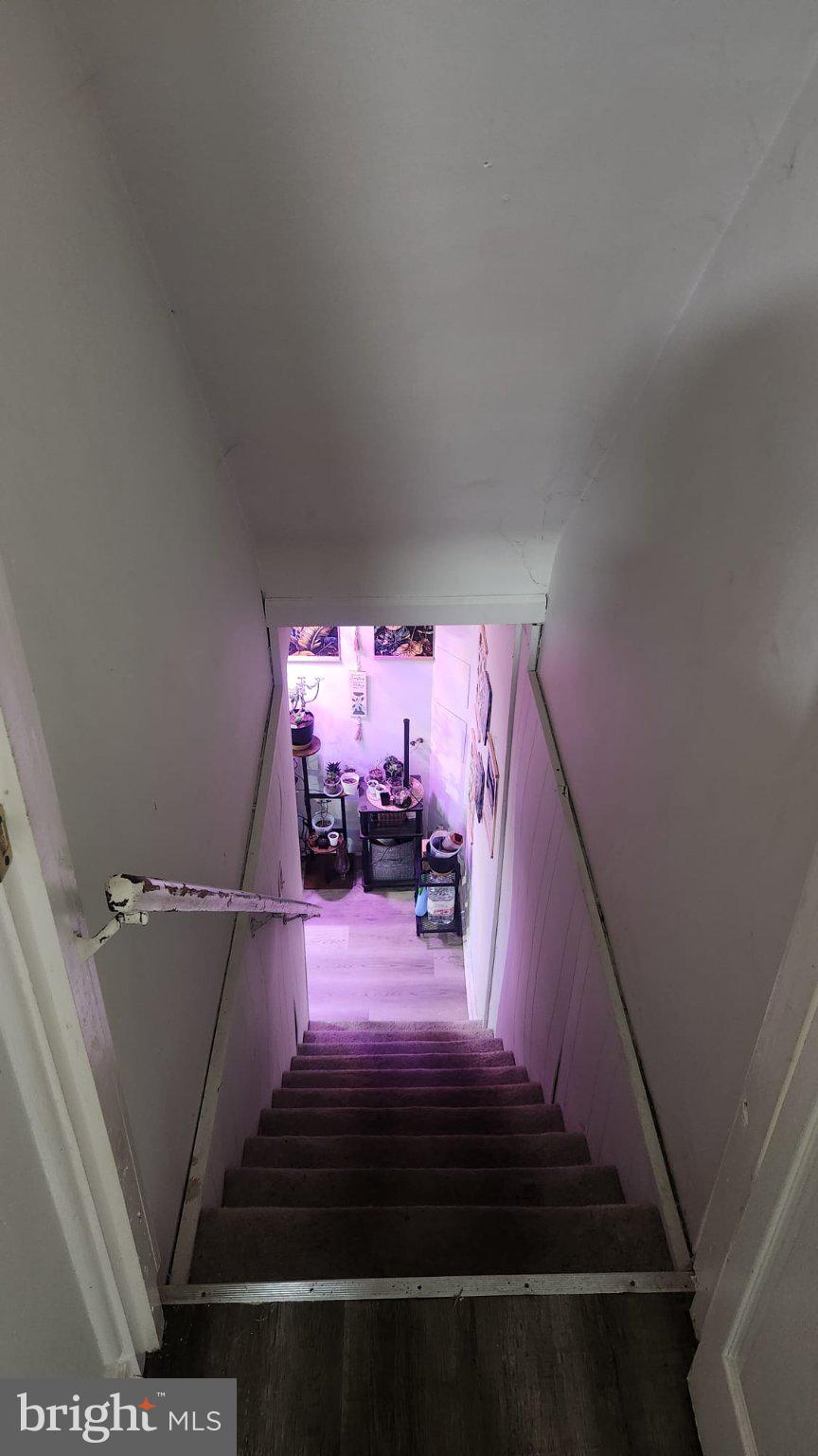 4432 Manorview Road Baltimore, MD 21229 - Photo 15 of 24 Inviting descent into vibrant space.