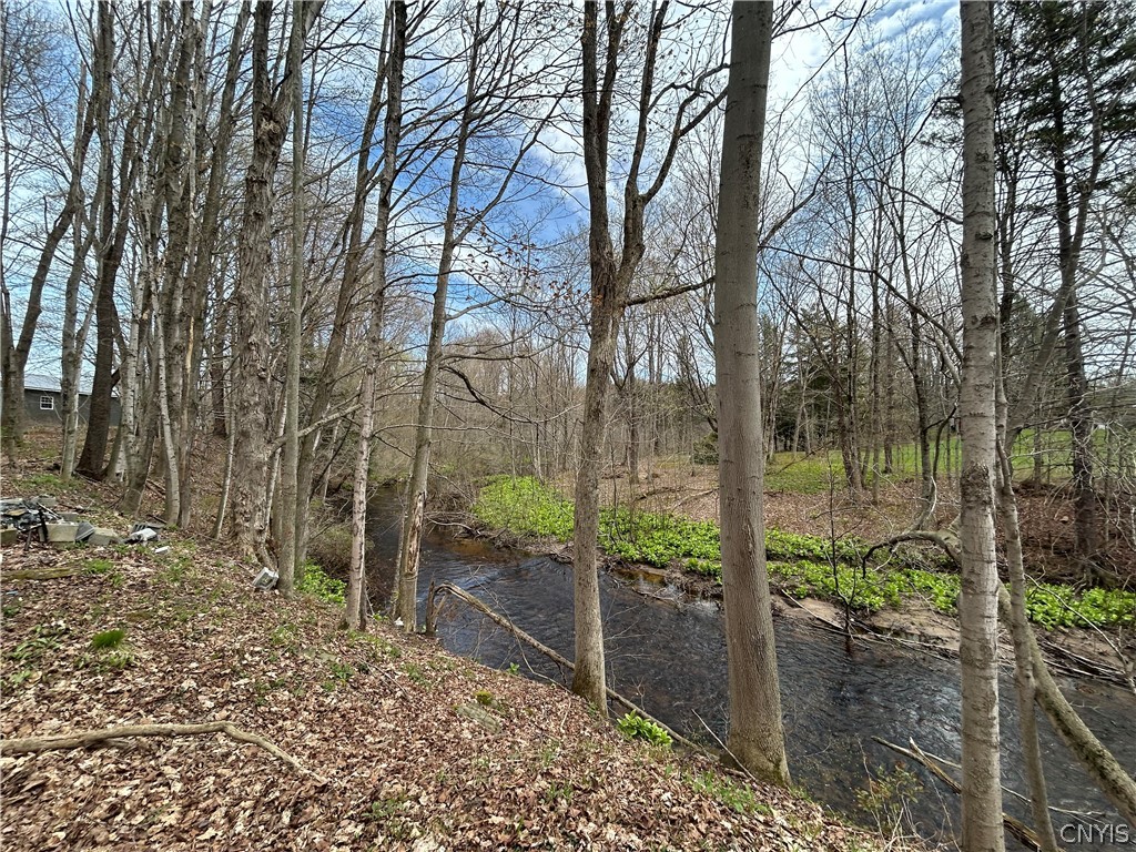 292 Towne Road Pulaski, NY 13142 - Photo 6 of 6