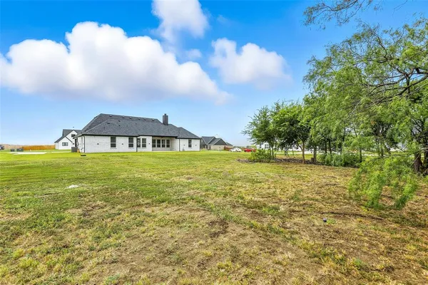 a large body of water with a tree in the background