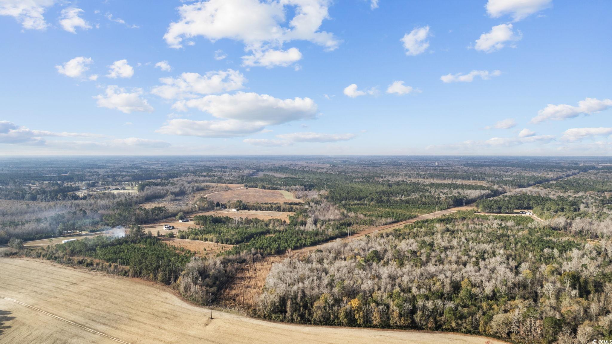 Tbd1 A Sand Plant Road Nichols, SC 29581 - Photo 11 of 27 Gallery Image 11