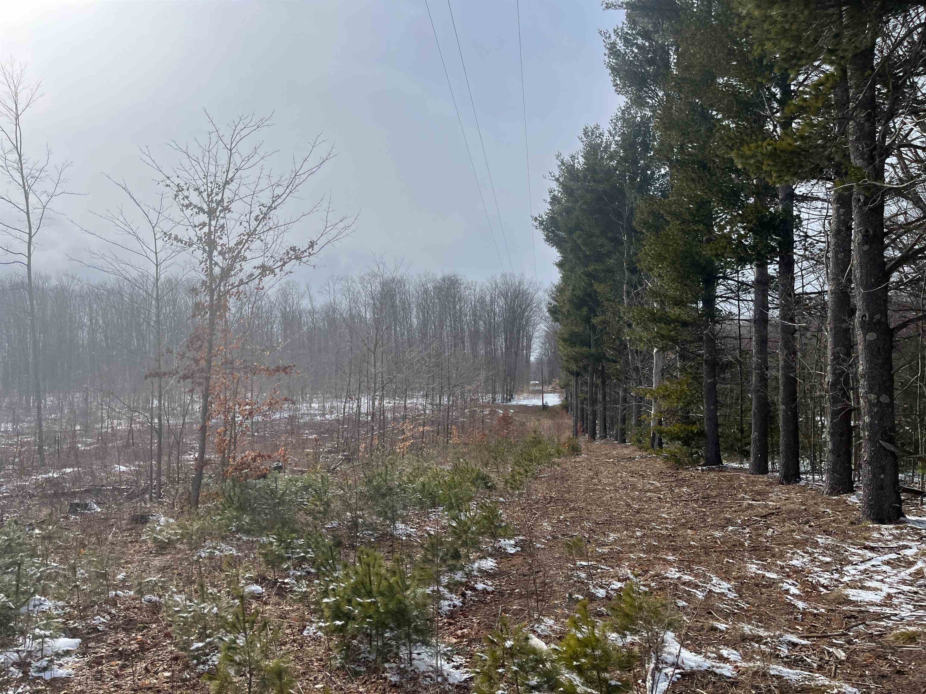 3 King Road, Unit LOT: 3 Benzonia, MI 49616 - Photo 8 of 14