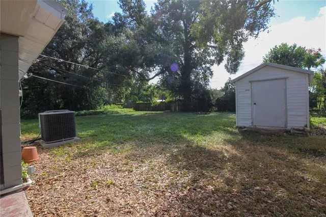 a view of a backyard with plants and tree