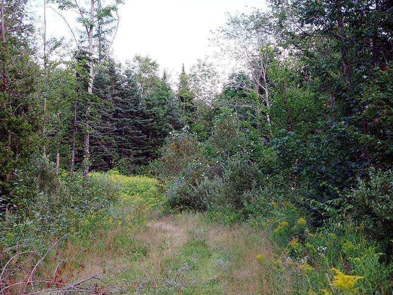 56-60 Thompson Settlement Road Oakfield, ME 04763 - Photo 25 of 35 Land.