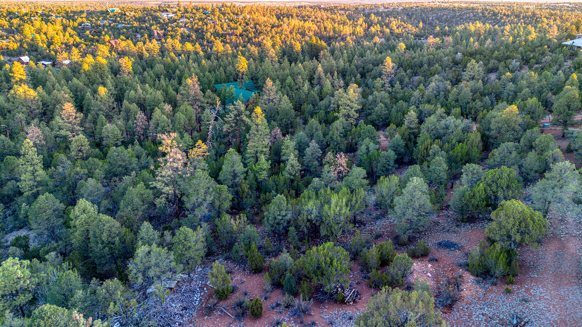 2333 Elk Ridge Lane Overgaard, AZ 85933 - Photo 15 of 20