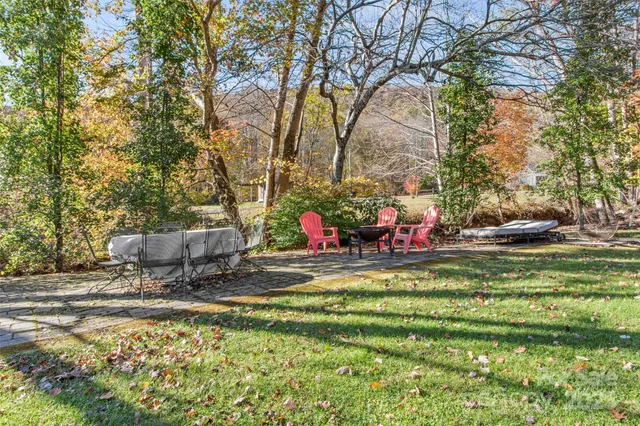 a view of a park with large trees