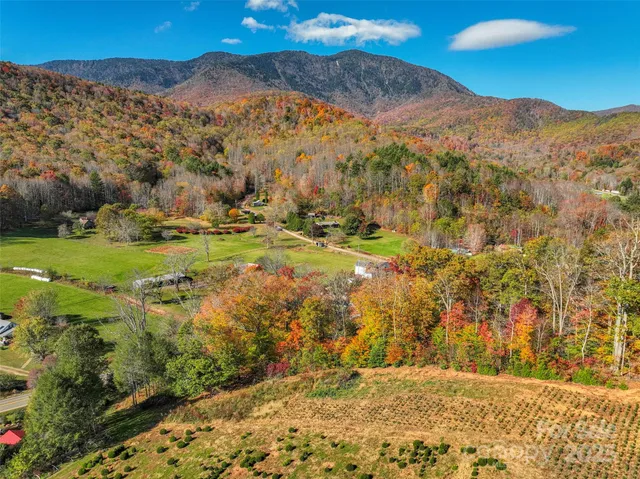 a view of a pathway with a yard