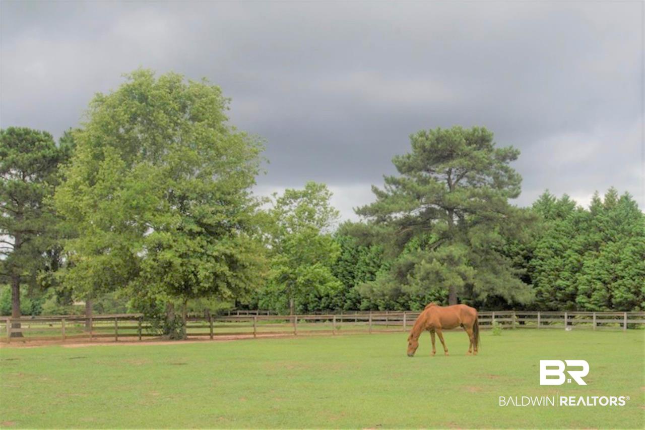 10310 Johnson Road South Mobile, AL 36695 - Photo 42 of 50