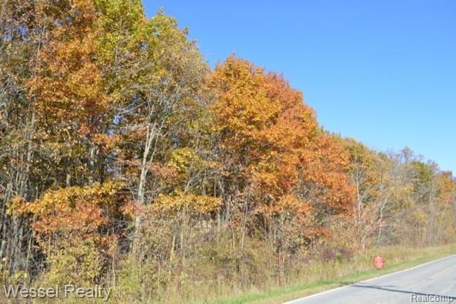 0 Smiths Creek Road Goodells, MI 48027 - Photo 6 of 9