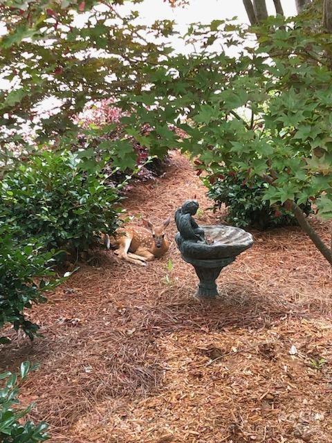 623 Bonum Road Lake Wylie, SC 29710 - Photo 38 of 47 Gallery Image 38