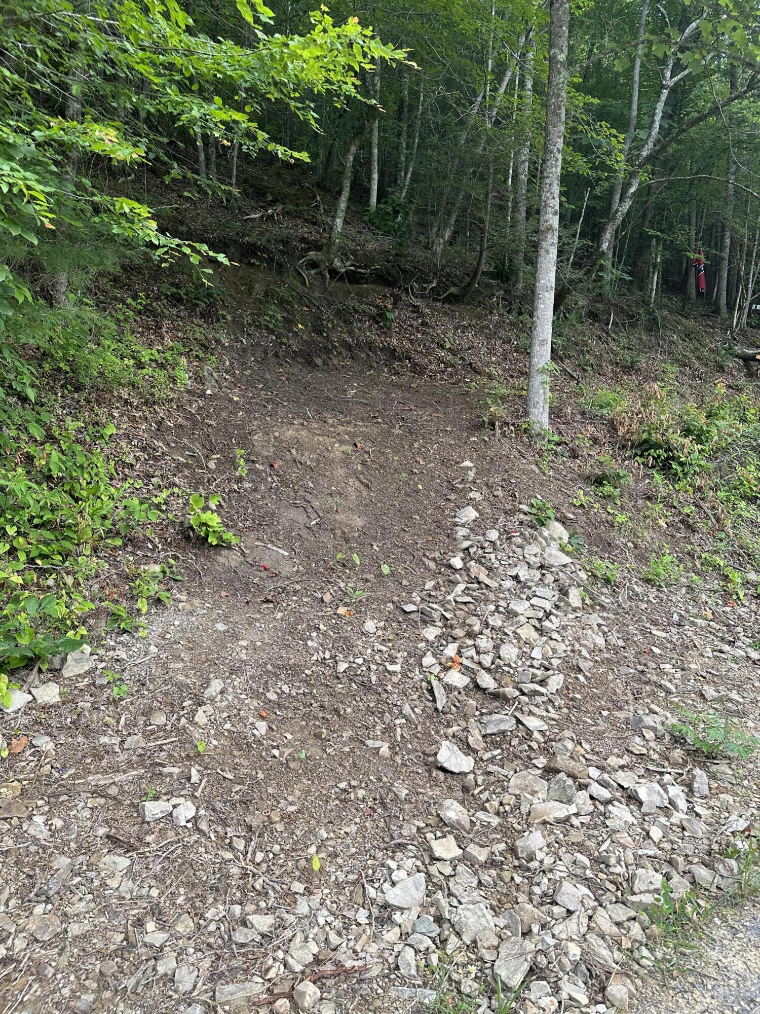 4572 Raven Branch Road, Unit 4 Del Rio, TN 37727 - Photo 3 of 13 IMG-3525