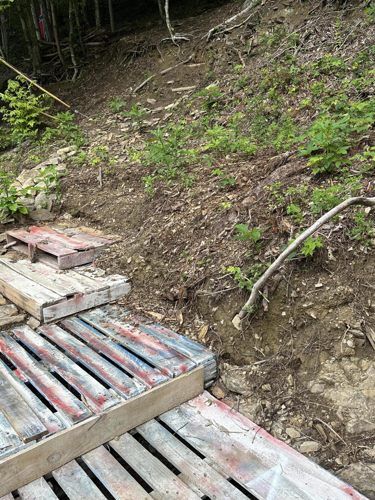 4572 Raven Branch Road, Unit 4 Del Rio, TN 37727 - Photo 6 of 13 IMG-3523