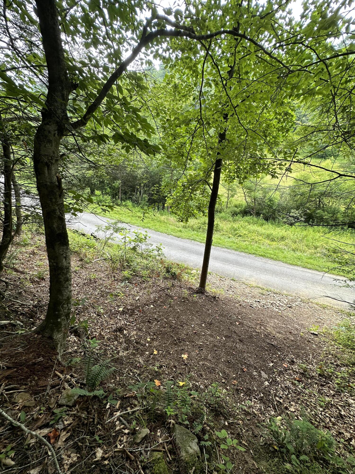 4572 Raven Branch Road, Unit 4 Del Rio, TN 37727 - Photo 7 of 13 IMG-3519