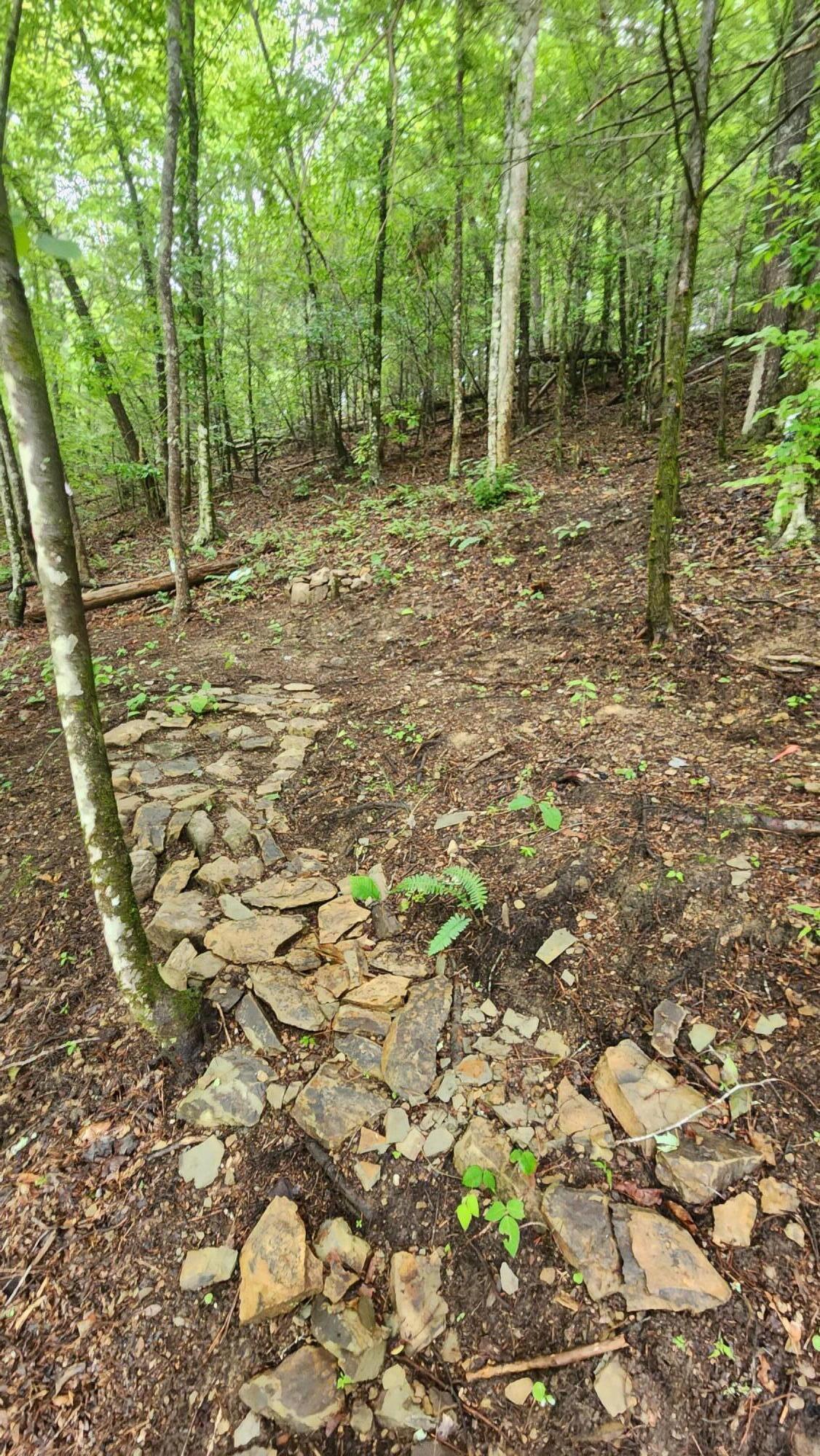 4572 Raven Branch Road, Unit 4 Del Rio, TN 37727 - Photo 8 of 13 20230623_120804 (1)