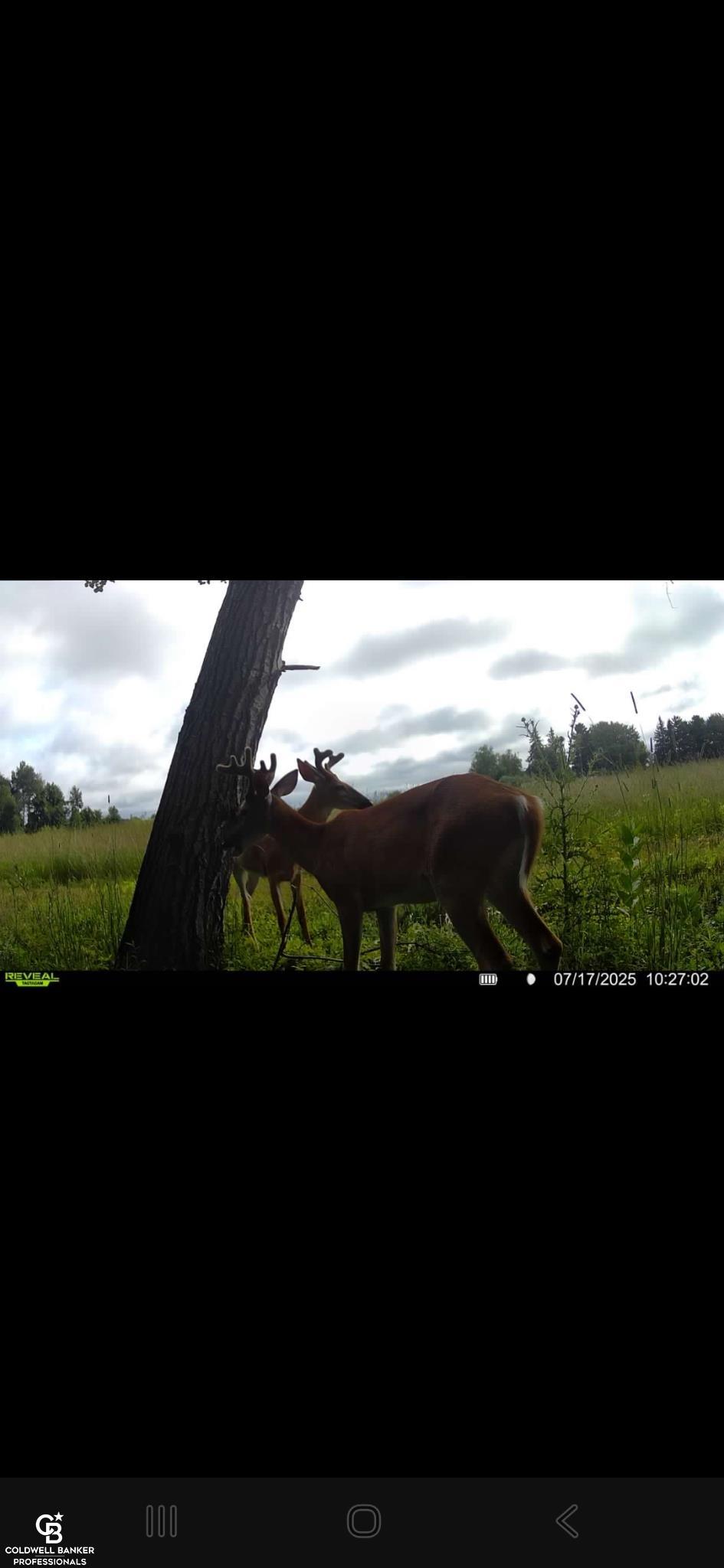5834 Brockway Road Peck, MI 48466 - Photo 17 of 17