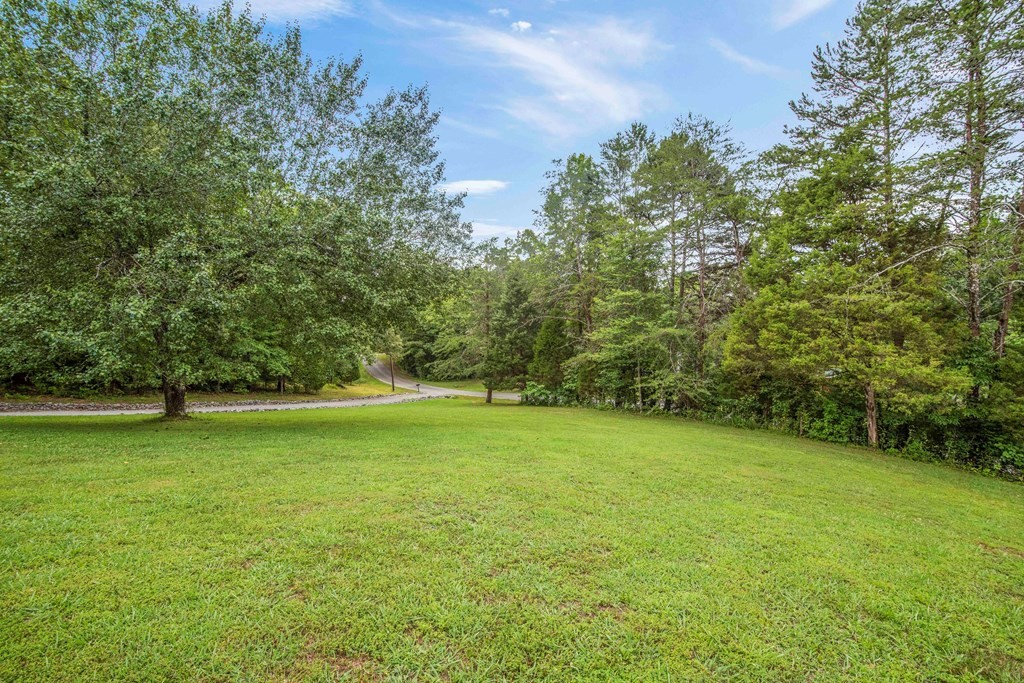 542 Bill Miller Road Spring City, TN 37381 - Photo 46 of 60 Gallery Image 46