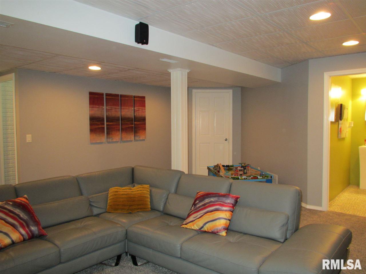 306 Portage Way Colona, IL 61241 - Photo 20 of 24 Gallery Image 20