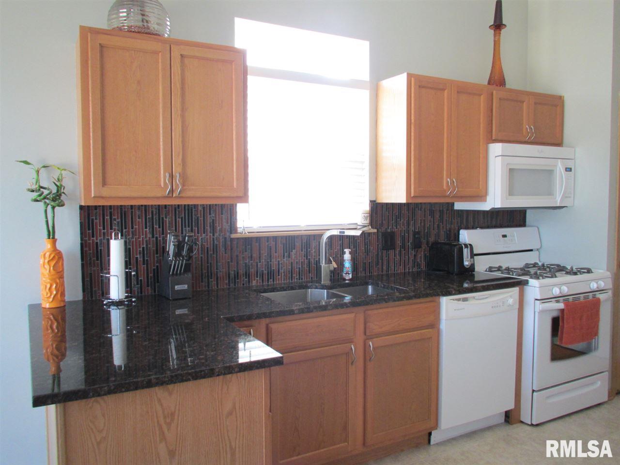 306 Portage Way Colona, IL 61241 - Photo 9 of 24 Gallery Image 9