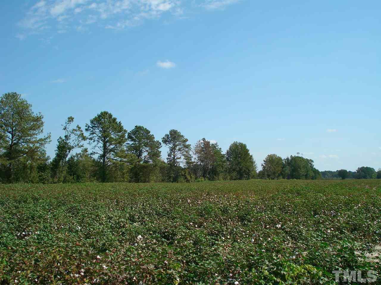 947 O B J Road Dunn, NC 28334 - Photo 17 of 25 Gallery Image 17