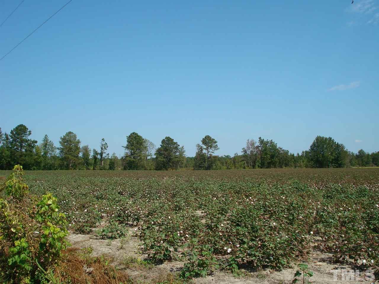 947 O B J Road Dunn, NC 28334 - Photo 4 of 25 Gallery Image 4