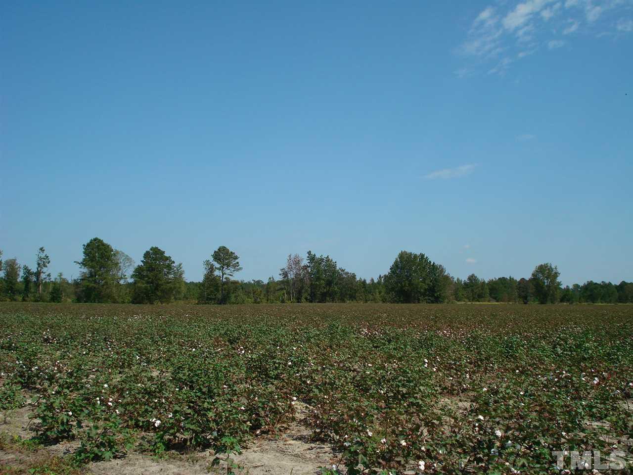 947 O B J Road Dunn, NC 28334 - Photo 7 of 25 Gallery Image 7