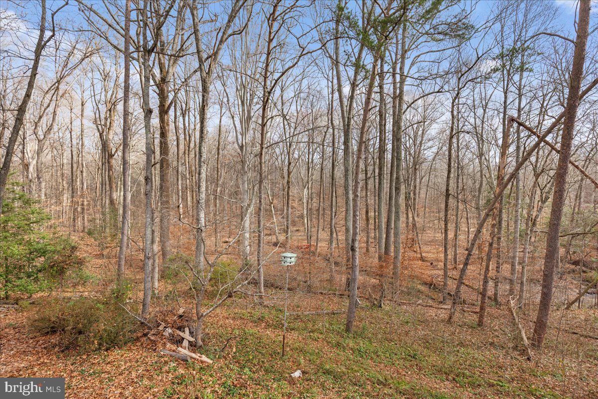 4068 Hanson Road White Plains, MD 20695 - Photo 48 of 48